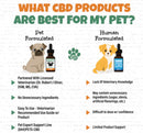 Bailey’s CBD Oil For Dogs