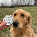 Bailey's Paw Balm lifestyle