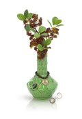 Turtle Vase Bong - Weedcommerce Marketplace 
